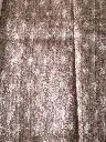 IMG_1769.webp