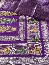 IMG_5348.webp