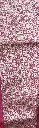 IMG_5285.webp