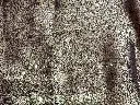 IMG_6074.webp