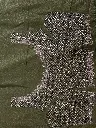 IMG_5528.webp