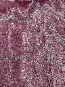 IMG_5718.webp