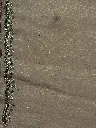 IMG_5563.webp