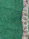 IMG_5961.webp