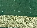 IMG_6060.webp