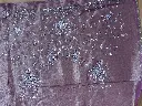 IMG_5651.webp