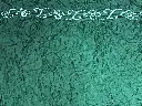 IMG_6250.webp
