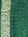 IMG_6354.webp
