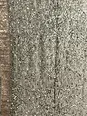 IMG_6300.webp