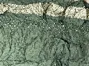 IMG_6297.webp