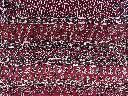 IMG_6766.webp