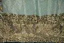 DSC_6156.webp