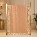 Elegant Peach Embroidered Saree with Sequin Border