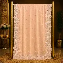 Women's Peach Saree with Floral Embroidery and Scalloped Designer Border