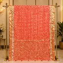 Women's Coral Orange Designer Saree with Gold Woven Pallu, Embroidered Border