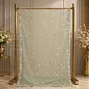 Mint Green Net Saree with Silver Sequin Work and Embellished Border