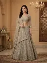 Champagne Silver Heavily Embellished Net Lehenga Choli Set 