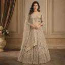 Women's Silver Champagne Embroidered Lehenga Choli with Net Dupatta for Wedding Reception Party Wear