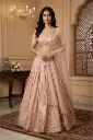 Blush Pink Brocade Silk Lehenga Choli Set with Pearls