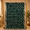 Women's Dark Green Designer Saree with Geometric Embroidery Border