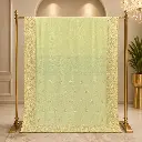Women's Pista Green Saree with Golden Paisley Embroidered Border