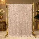 Blush Pink Saree with Gold Floral Vine Embroidery and Scalloped Border