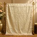Champagne Beige Embroidered Saree with Sequin Border