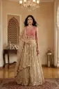 Rani Pink and Champagne Gold Net Embroidered Lehenga Set