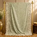 Sage Green Sequin Embroidered Saree with Silver Floral Border