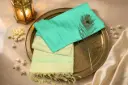 Sea Green Raw Silk Saree with Striped Pallu