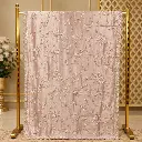 Blush Pink Floral Embroidered Saree with Scalloped Sequin Border