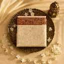 Elegant Beige Embroidered Tissue Saree with Delicate Floral Motif
