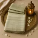Elegant Sage Green Shimmer Tissue Silk Designer Saree 