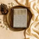 Elegant Grey Handloom Saree with Traditional Zari Border 