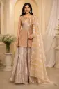 Rose Gold Crop Top Sharara Set with Embroidered Top n Striped Dupatta