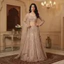 Champagne Rose Embroidered Net Lehenga Choli Set