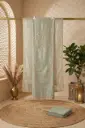 Sage Green Embroidered Silk Tissue Unstitched Dress Material